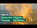 Nature's Mighty Power: Wildfires | BBC Earth