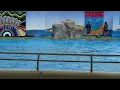 Dolphin Marina Conservation Park Coffs Harbour May 2022