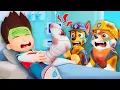 Download Lagu RYDER In Hopital! - Chase Please Don't Cry!!! - Very Sad Story | Paw Patrol 3D Animation | Rainbow 3