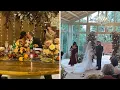 Manzo Magic Albie s Dreamy Italian Wedding to Chelsea DeMonaco Unveiled