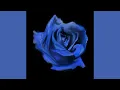 Current Joys - WILDFIRE