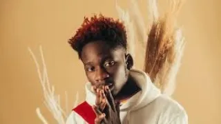 mr eazi is back tony montana song review ft tyga 