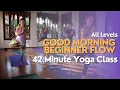 40 Minute Yoga Class - Good Morning Flow Beginner Friendly Vinyasa