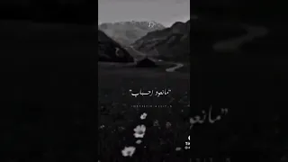 نمرق مثل الاغراب  دندنها