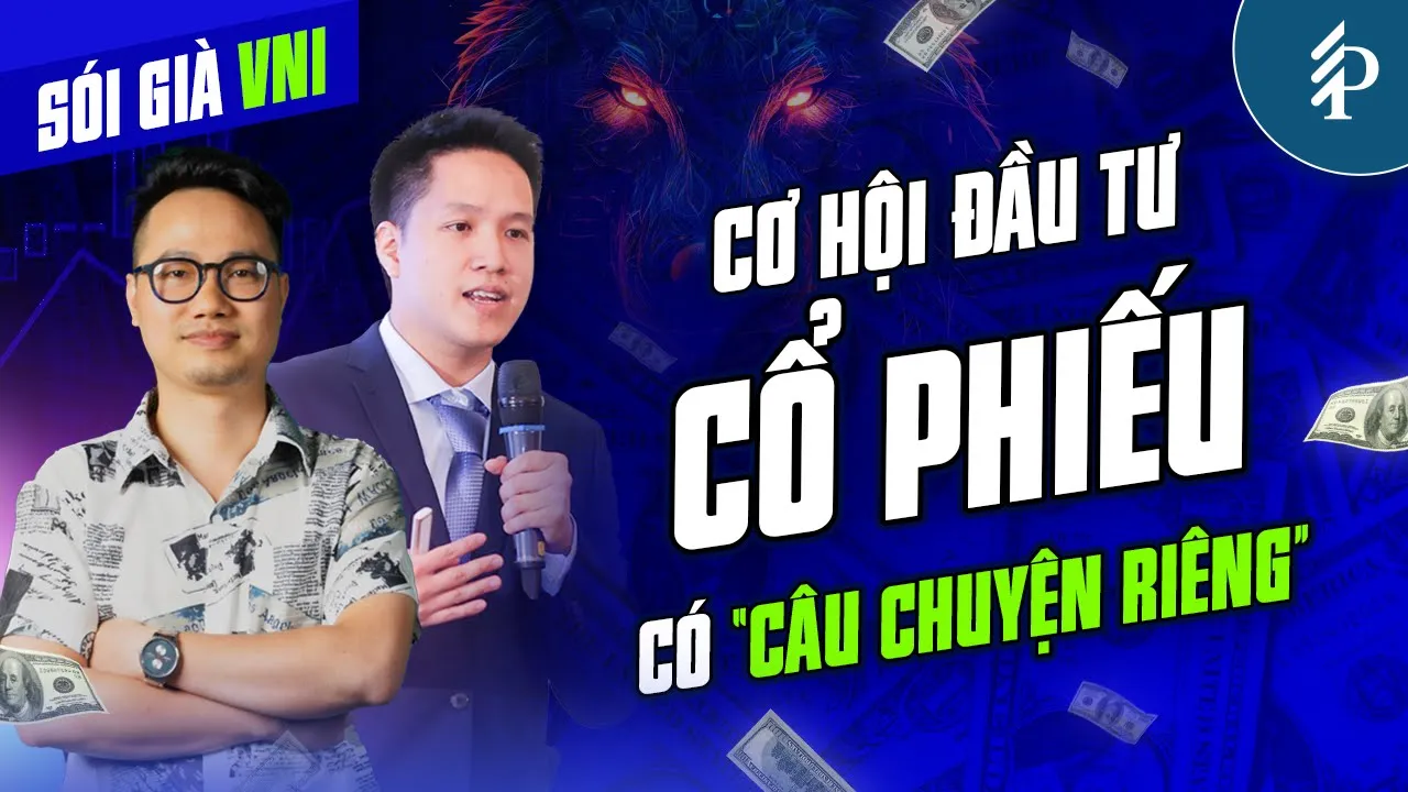 Outline Video Khám phá "CÂU CHUYỆN RIÊNG" của CỔ PHIẾU TIỀM NĂNG cùng Chuyên gia Pinetree và Art Investor