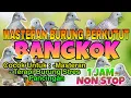 Download Lagu Masteran Burung Perkutut Bangkok || Suara Burung Perkutut Bangkok
