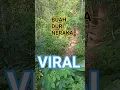 Download Lagu buah duri neraka !  viral !  (Rhoma irama) #viral #shorts #short #alambebas