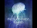 Photosynthesis (Live)