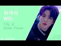 Download Lagu 위아이 (WEi) _ 겨울, 꽃 (Winter, Flower) | Line Distribution and Lyrics