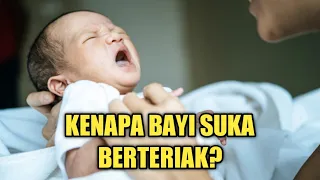 Download Inilah 5 Alasan Bayi Suka Berteriak Kencang MP3