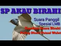 Download Lagu SP Akau Birahi. Link Download Cek Deskripsi