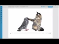 Courseware Webinar