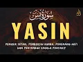 Download Lagu SURAH YASIN PENGUSIR JIN, SETAN, SIHIR DI RUMAH \u0026 TUBUH, PENENANG HATI \u0026 PIKIRAN Alaa Aqel