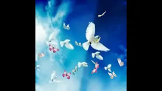 لما بدا ف الأفق نور محمد كالبدر في الإشراق عند كماله نشر السلام على البرية كلها م جمال حافظ 