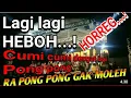 Download Lagu Heboh cumi cumi audio di paksa penonton memutarkan lagu dj pong pong