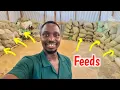 Download Lagu My Farm Tour | 4 Acres of Steady  Growth 