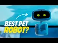 Lagu The BEST Consumer Robot? - AIBI Pocket Pet First Impressions