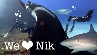 we love nik