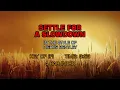 Dierks Bentley - Settle For A Slowdown (Karaoke)