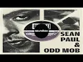 Sean Paul - Get Busy (Odd Mob Club Mix)
