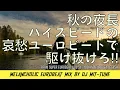 Download Lagu 【４時間たっぷり!】哀愁ユーロビートで秋を満喫!!　4 hours Melancholic Eurobeat Mix