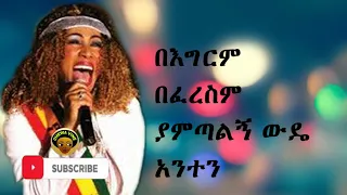 አስቴር አወቀ ሀሎ Aster Aweke Halo Music Layrics 2019 Chewaጨዋ 