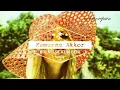 Kamuran Akkor - Bir Atese Attin beni