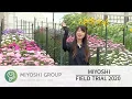 Download Lagu FIELD TRIAL 2020 “Aster”
