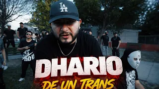                                                      دندنها