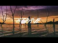 Post Malone - Congratulations Zerb Remix