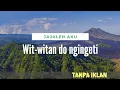 Download Lagu JAJALEN AKU || Wit-witan do ngingeti || TANPA IKLAN ||DENNY CAK NAN || vie perjalanan