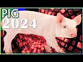 Pig Horoscope 2024 Born 2019 2007 1995 1983 1971 1959 1947 1935