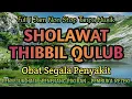 SHOLAWAT TIBBIL QULUB MERDU FULL 1 JAM TANPA MUSIK, SHOLAWAT PENYEJUK HATI PENYEMBUH SEGALA PENYAKIT