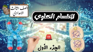 ابسط شرح لدرس الانقسام الخلوي علوم ثالثة إعدادي الترم الاول 