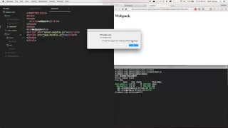 Webpack Config Basics - 3 Multiple entry points