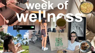 wellness vlog: week of workouts & getting back into routines!!
