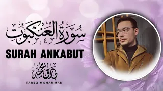 029 Al Ankabut سورة العنكبوت Magical Recitation القارئ طارق محمد 