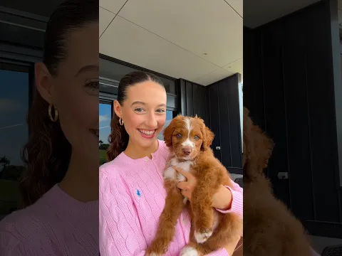 WAIT FOR IT! 🥹🐶 #puppy