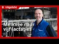 Download Lagu Uitgelicht | Levensduur van melkvee verlengen