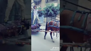 اغنية فيلم كركر دندنها