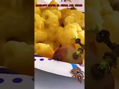 Una ARAÑA SALTARINA caza a una MOSCA SALTANDO #shorts #viralvideo #fyp #curiosidades #top