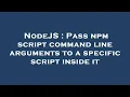 NodeJS Pass npm script command line arguments to a specific script inside it