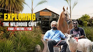 India's Craziest Animal Café with Pony Horses ,Rabbits & Birds 🐦🐐🐎
