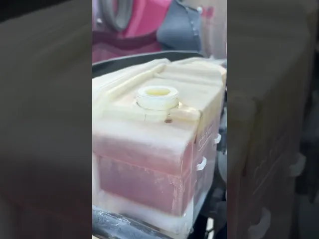 View Video