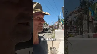 RAW MILK AFRICA #sailinglife #travel #africa #rawmilk #gotmilk  #zanzibar