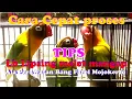 Download Lagu Cara Cepat Proses Lb Libsing Melet Mangap Dalam 2 Minggu