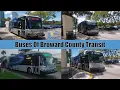 Buses Of Broward County Transit Bus System Part I