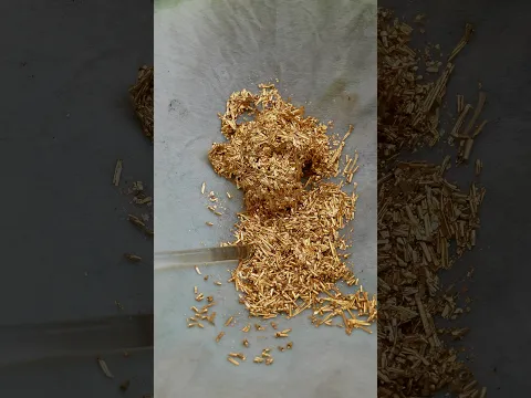 Gold in Old PCBs! Extracting Gold Fingers 💻 | Gold Recovery from Electronic Scrap