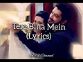 Download Lagu Tere Bina Main (Lyrics)