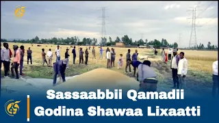 Sassaabbii Qamadii Godina Shawaa Lixaatti 